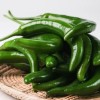 유기농 '오이맛 고추 일등' 1kg